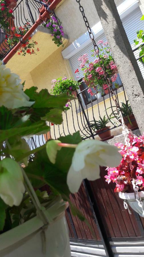 Guest Rooms Ider Sapareva Banya Exterior foto